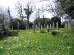 Dissenters General Cemetery and Chapel Primroses in spring