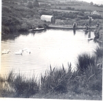 Toyz Pond around 1953 Toyz Pond around 1953